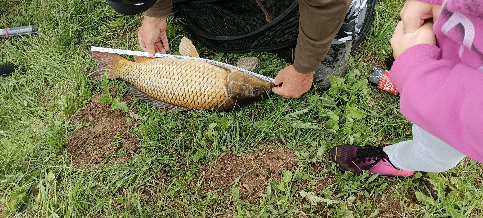 IMG_20220910_151644a